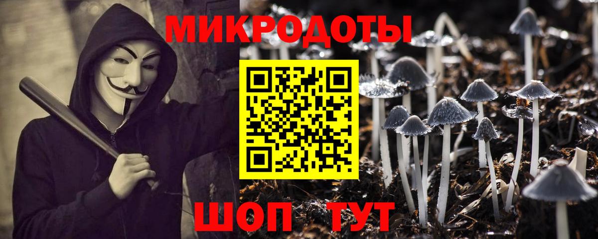 Псилоцибиновые грибы Psilocybine cubensis  Вход с VPN  Осинники 